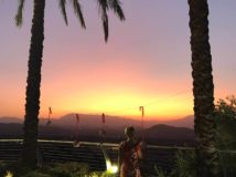 Palm Tree-Sunset