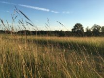 Countryside